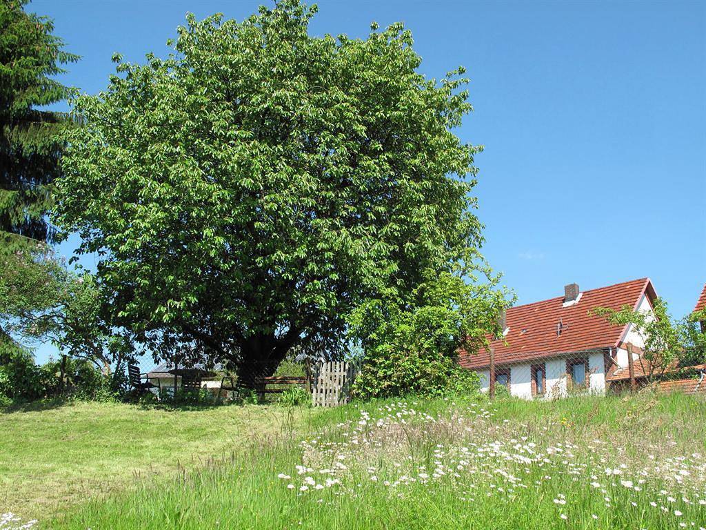 Altes Schifferhaus in Wesertal, Hessisches Bergland