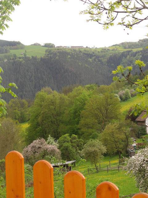 Ferienwohnung für 2 Personen, mit Terrasse und Balkon/Terrasse in Ostthüringen - 3