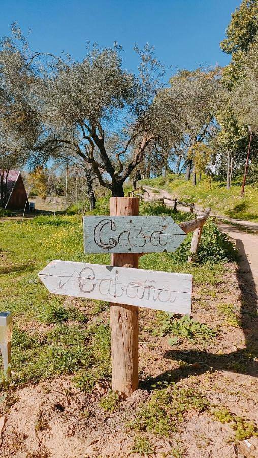 Casa rural para 12 personas, con piscina además de jardín y vistas en Andalucía - 4