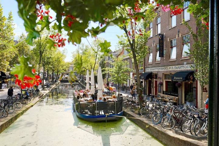 Hôtel pour 5 personnes, avec jardin à Delft - 3