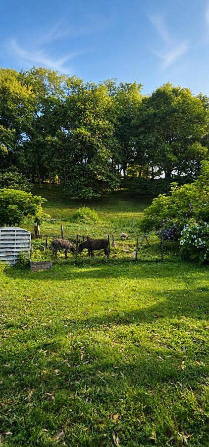 Location de vacances pour 6 personnes, avec Terrasse et Jardin à Guiche - 4
