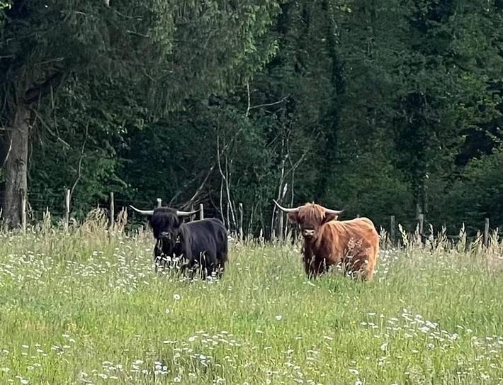 Location de vacances pour 4 personnes, avec jardin ainsi que vue et terrasse à Saint-Julien-le-Petit - 3