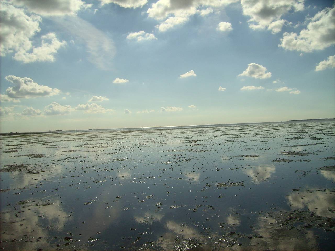 Ganze Ferienwohnung, Haus Halligblick, Ferienwohnungen am Wattenmeer, Whg. Oland in Dagebüll, Nordfriesland