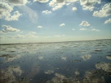 Ferienwohnung für 4 Personen in Dagebüll, Nordfriesland, Bild 2