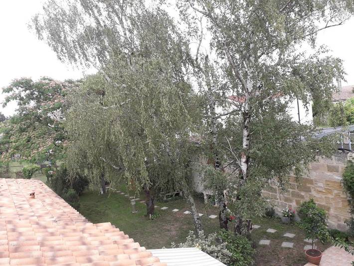 Chambre d’hôte pour 2 personnes, avec vue à Libourne - 4