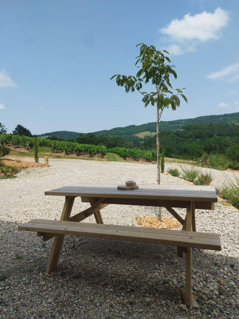 A deux Pas des Vignes in Sainte-Paule, Beaujolais