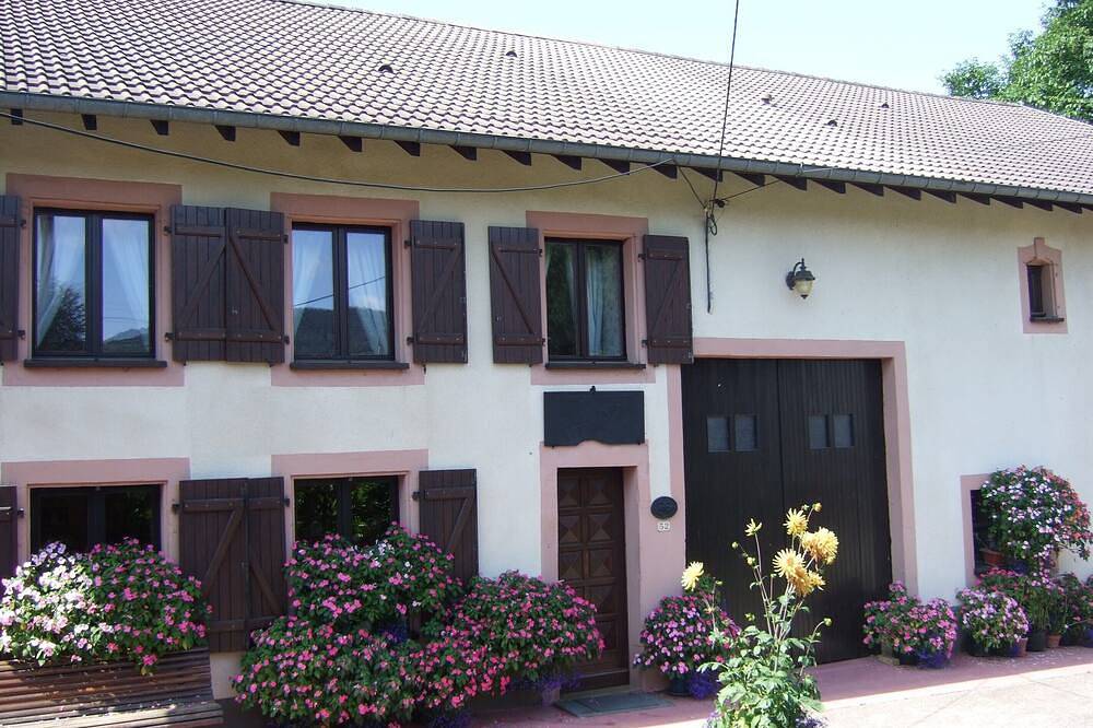 Cottage Blumen / Finnisch Kota im Garten in Ban-de-Laveline, Regionaler Naturpark Belchen der Vogesen