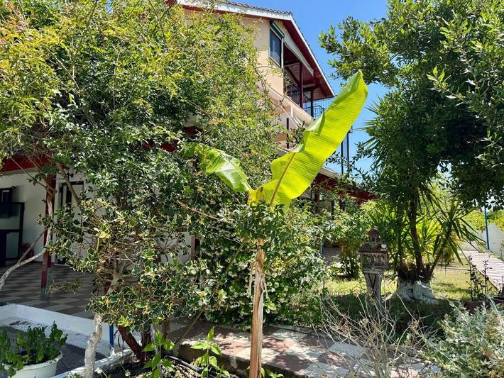 Maison d’hôte pour 3 personnes, avec jardin et vue