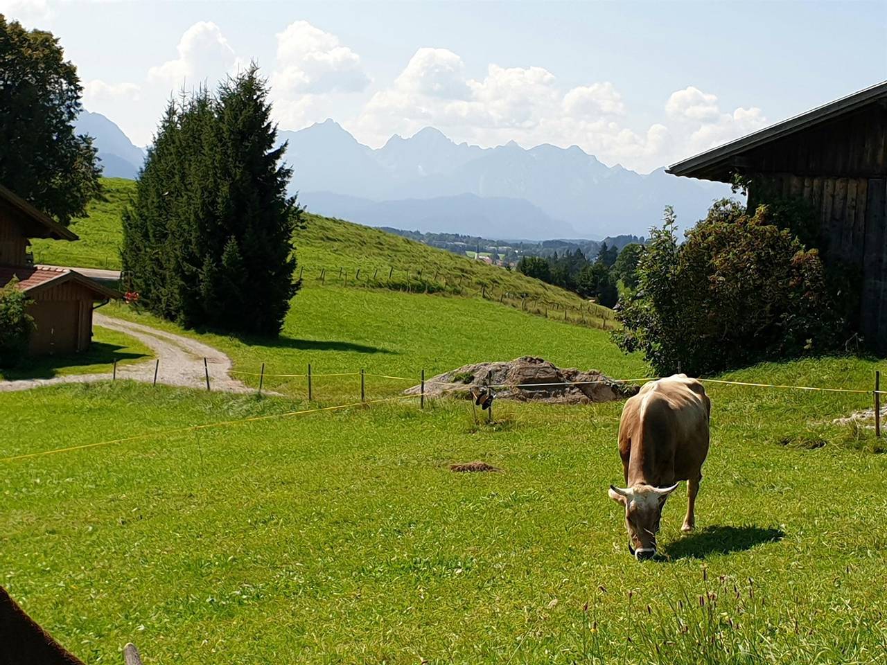 Ganze Ferienwohnung, Fewo I/1  1 Sz/ Du/Wc in Halblech, Bayerisch Schwaben