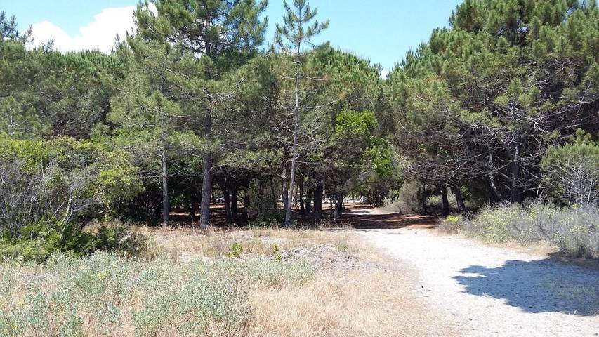 Hôtel pour 2 personnes, avec sauna et jacuzzi à Ghisonaccia - 4