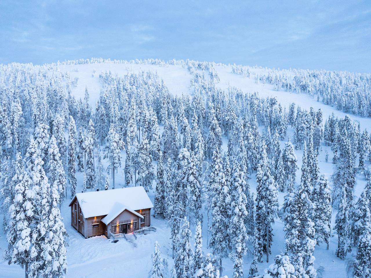 Tervakko in Lappland