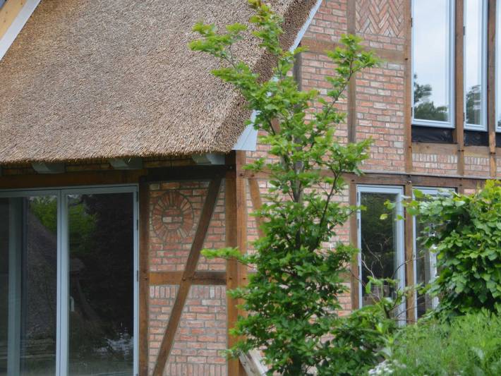 Bauernhaus für 5 Personen, mit Ausblick und Seeblick sowie Garten, kinderfreundlich in Holsteinische Schweiz - 3