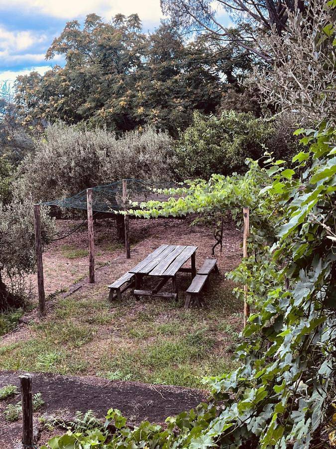 Three-Bedroom Villa in Zafferana Etnea, Etna
