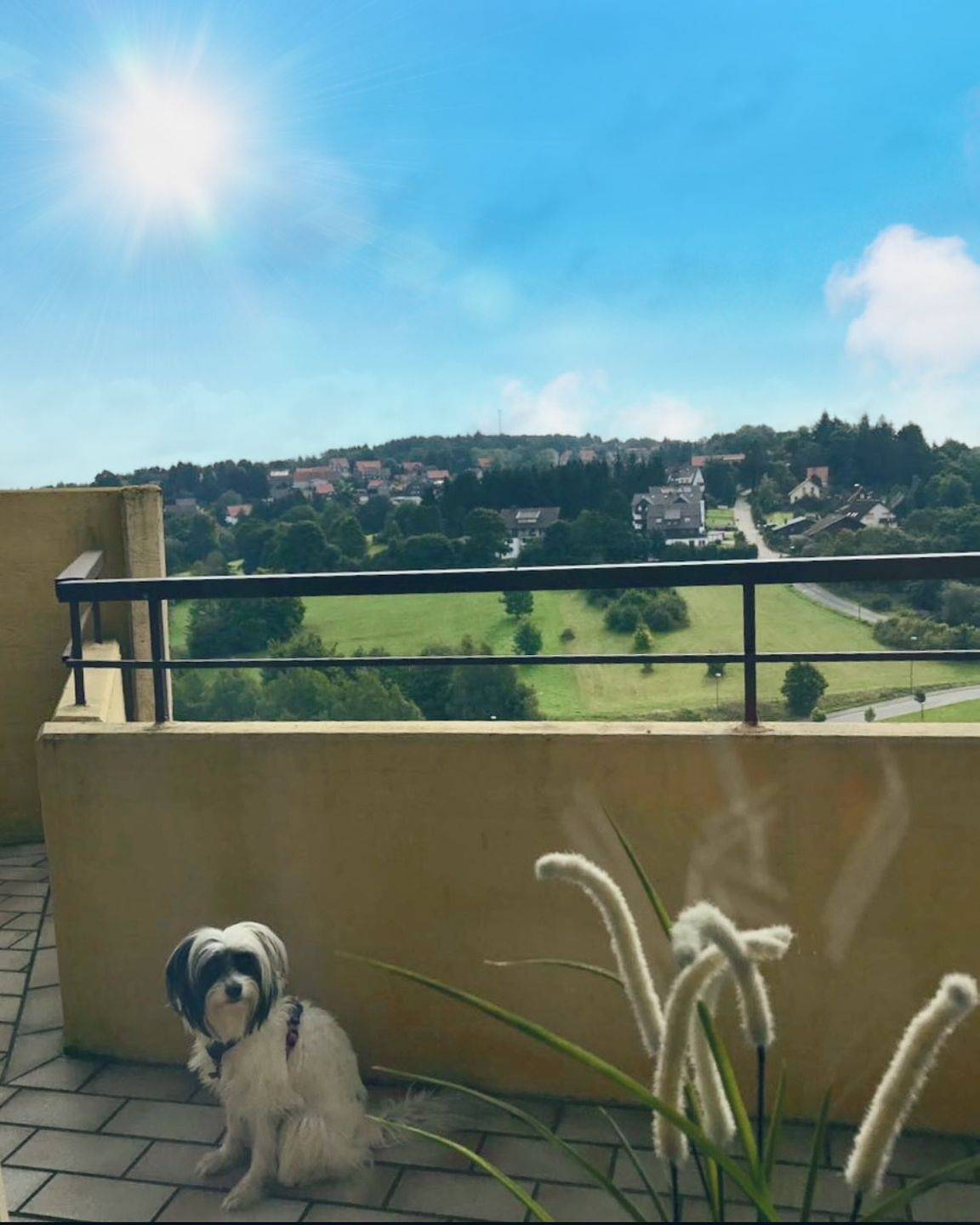 Ganze Wohnung, Komfortables Appartement mit Bergblick, Balkon, Pool und Sauna in Braunlage Hohegeiß in Hohegeiß, Harzvorland