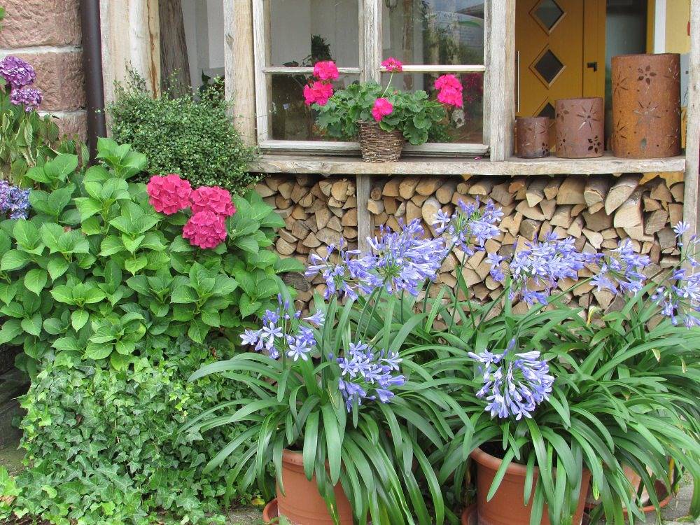 Ganze Ferienwohnung, Ferienhaus Bührer - Fewo Rose - mit Aufzug zu erreichen in Freiamt, Südschwarzwald