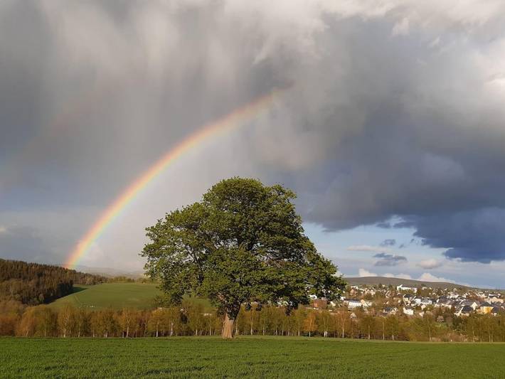 Ferienhaus für 4 Personen im Erzgebirge - 3