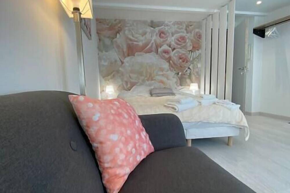Entire apartment, Esprit Romantique ........ au coeur de Mulhouse in Mulhouse, Mulhouse region