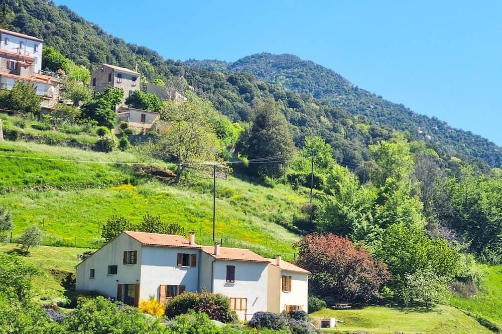 Forca d'Olmu - Lake side in Tolla, Ajaccio und Umgebung