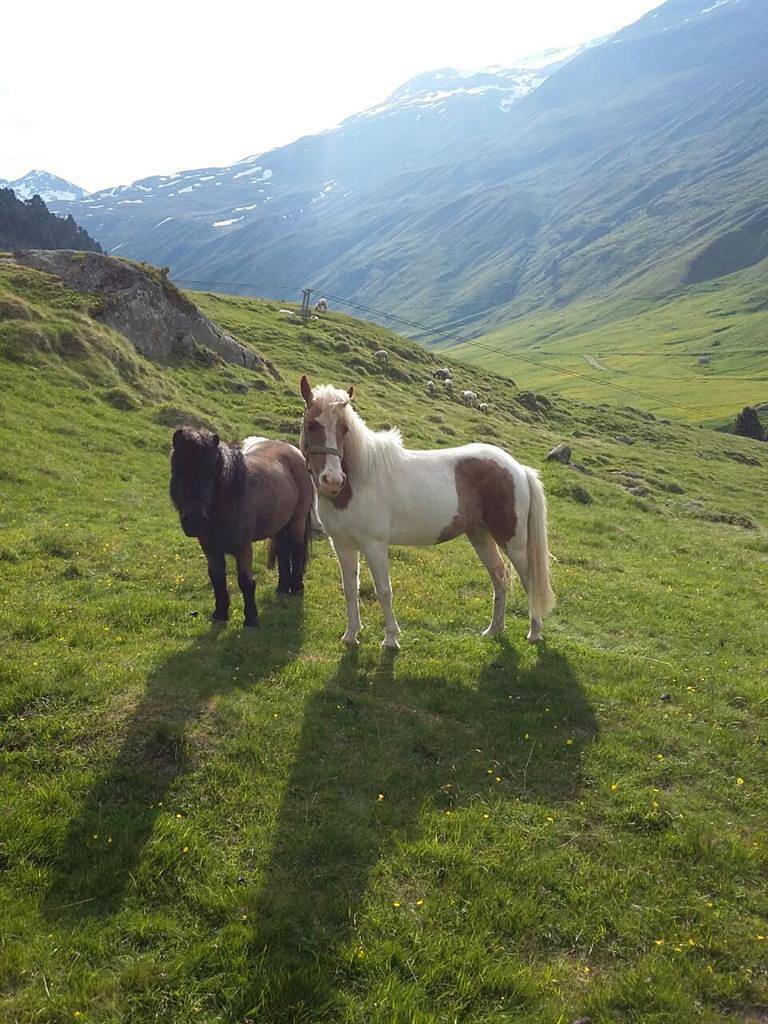Ganze Ferienwohnung, Appartement mit 1 Schlafzimmer in Weißkamm, Sölden (Österreich)