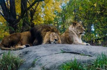 Vacation House for 9 Guests in Seattle, Puget Sound, Picture 2