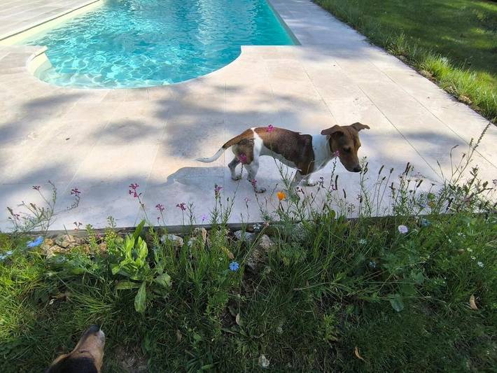 Maison d’hôte pour 4 personnes, avec piscine et terrasse ainsi que vue et jardin, animaux acceptés dans Île de France - 3