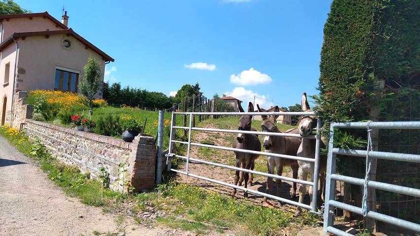 Gîte pour 6 personnes, avec jardin et terrasse - 1