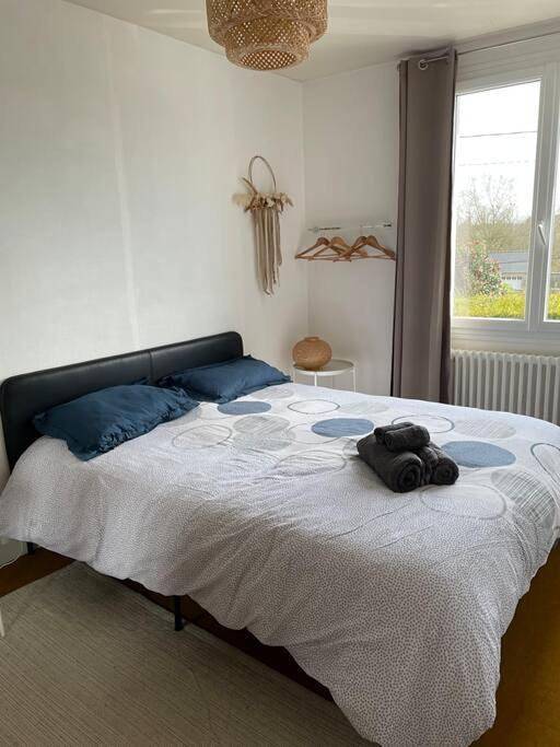 Location de vacances pour 8 personnes, avec jardin, adapté aux familles à Flamanville - 4