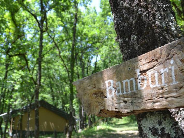Camping pour 4 personnes, avec bassin pour enfant dans le Tarn-et-Garonne - 2
