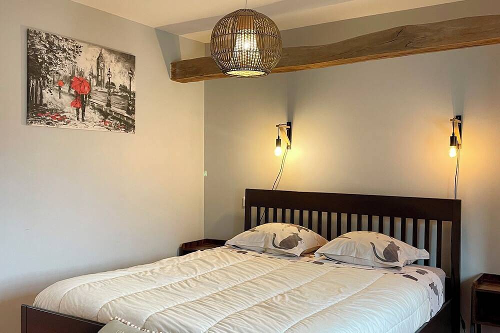 Appartement entier, Les Clématites de Saint Aignan 8 pers, 7 min de Zoo in Saint-Aignan, Région de Romorantin-Lanthenay