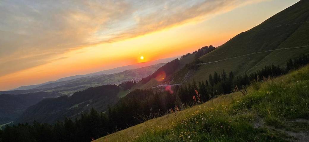 Ferienwohnung für 4 Personen, mit Sauna und Ausblick sowie Garten in Jungholz - 3