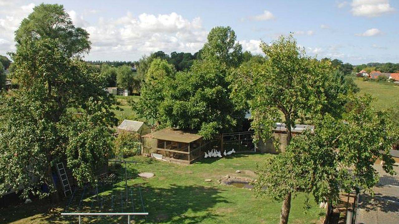 Ganze Ferienwohnung, Ferienwohnung für 3 Personen (30 m²) in Patzig in Patzig, Bergen auf Rügen und Umgebung