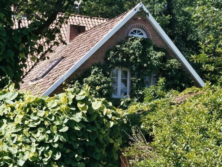 Ferienwohnung für 2 Personen, mit Garten in Bergen (Niedersachsen) - 4