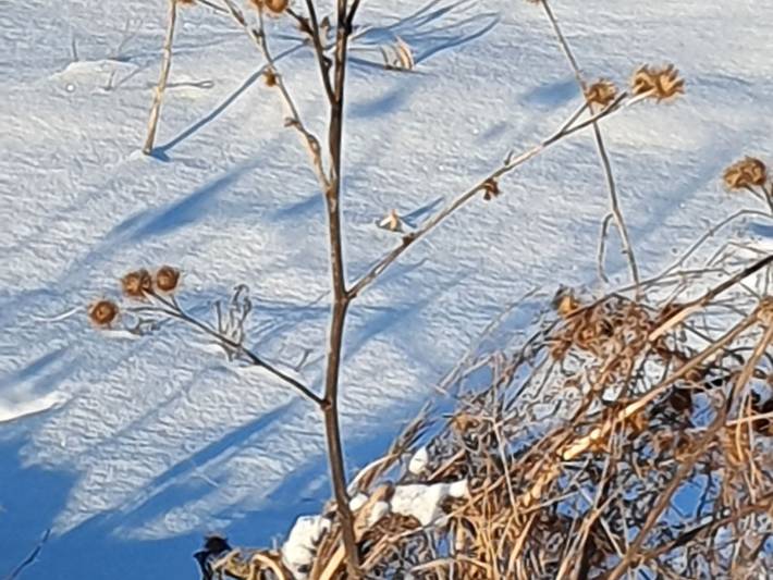Ferienwohnung für 5 Personen, mit Garten - 1