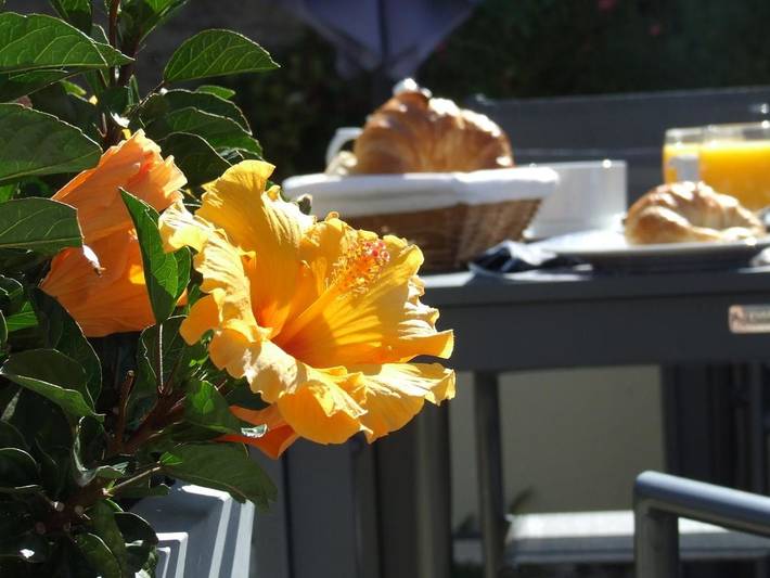 Hôtel pour 2 personnes, avec jardin et terrasse, animaux acceptés à Chagny - 4