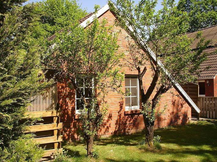 Bauernhof für 4 Personen, mit Terrasse und Garten in Ostfriesland - 2