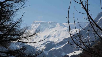 Hütte für 8 Personen in Adelboden, Berner Oberland, Bild 4