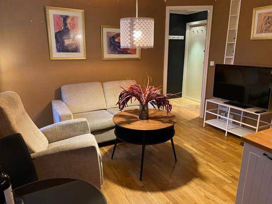 Appartement entier, One-Bedroom Apartment in Trondheim