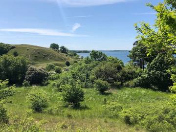Ferieudlejning til 7 Personer i Kirke Hyllinge, Lejre Kommune, Billede 4
