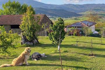 Gîte pour 4 personnes, avec jardin et balcon, animaux acceptés à Albareto
