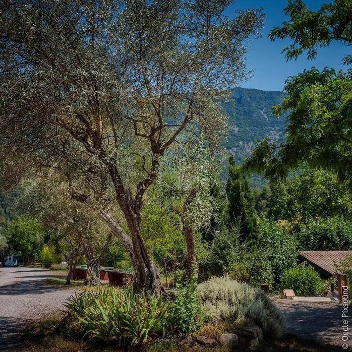 Camping pour 11 personnes, avec jardin ainsi que vue et piscine dans la Région de nyons - 2