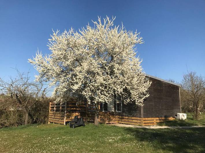 Location de vacances pour 6 personnes, avec piscine ainsi que jacuzzi et terrasse, animaux acceptés à Saint-Léger-sur-Dheune - 2
