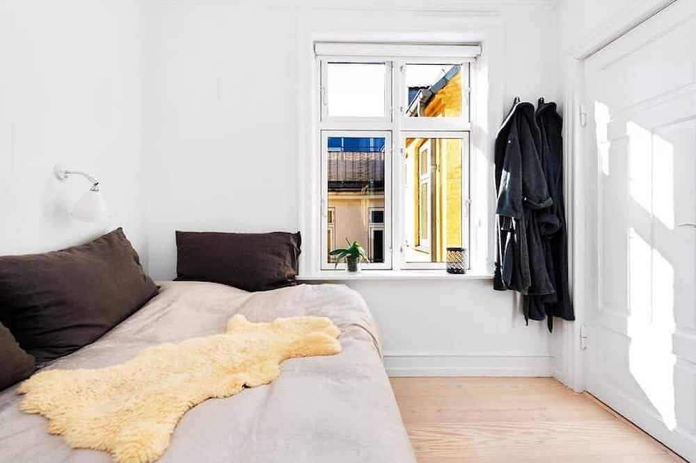 Entire apartment, Heart of Copenhagen - view to Kings Garden & access to Rooftop - total renovated in Copenhagen City, Copenhagen