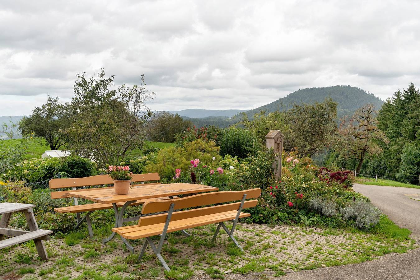 Ganze Wohnung, Löcherhansenhof: Ferienwohnung '1' mit Bergblick, Gemeinschaftsterrasse und Wi-Fi in Bad Peterstal-Griesbach, Mittlerer Schwarzwald