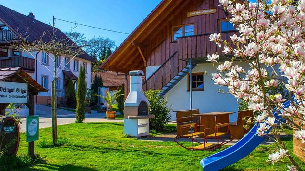 Ganze Ferienwohnung, Ferienwohnung für 2 Personen (50 m²) in Meersburg in Meersburg, Region Bodensee-Oberschwaben