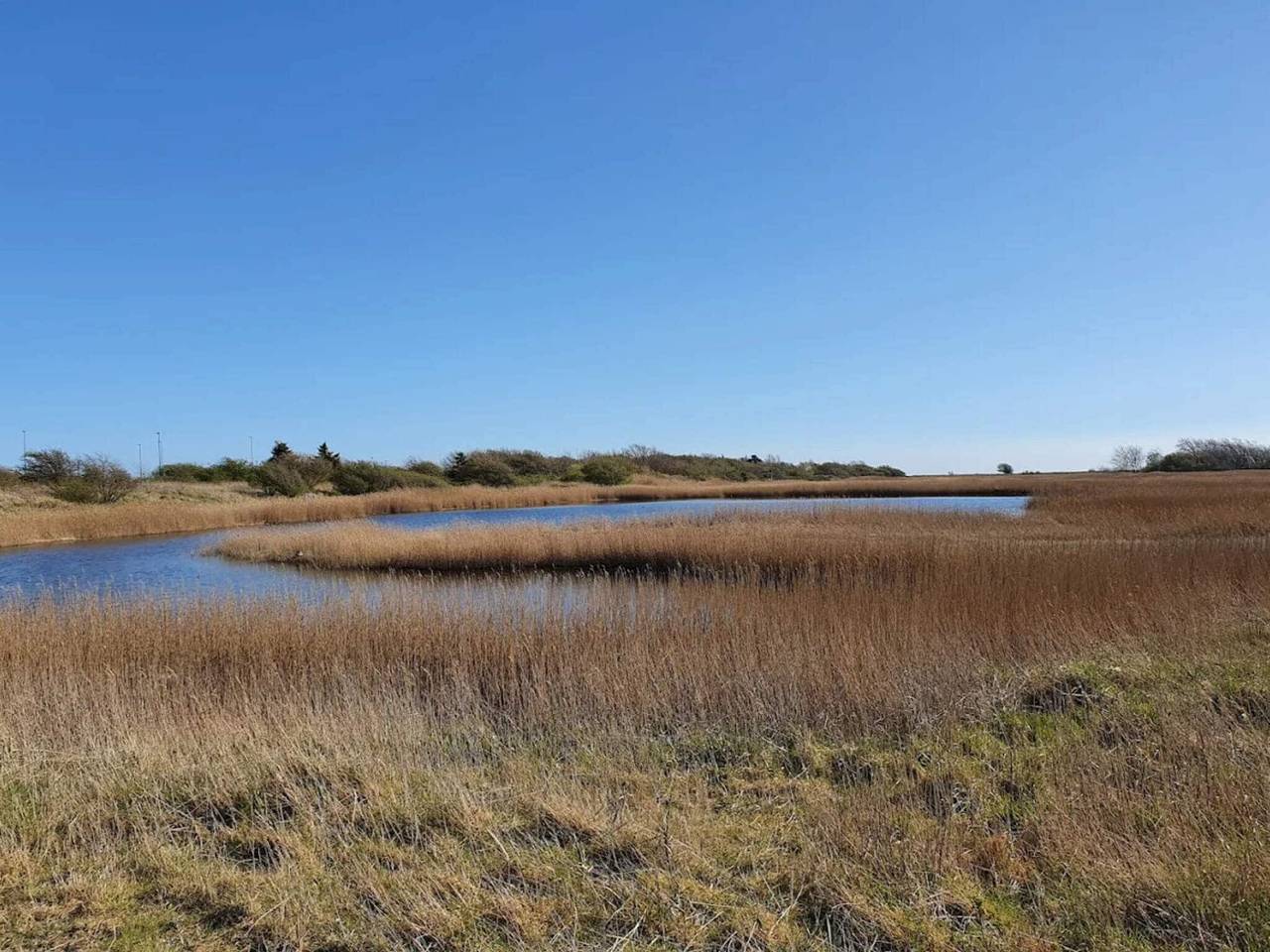 6 Personen Ferienhaus in Gedser in Gedser, Schwedische Ostsee