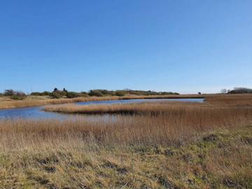 Ferieudlejning til 6 Personer i Gedesby, Lolland-Falster, Billede 4