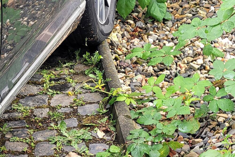 Ganze Wohnung, Gemütliche Ferienwohnung Alte Arztpraxis - besonders für Familien geeignet! in Wabern, Schwalm-Eder-Kreis