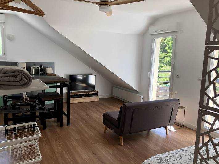 Studio for 3 people, with balcony - 1