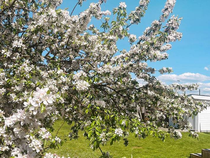Ferienhaus für 6 Personen, mit Balkon und Garten in Göteborg - 3