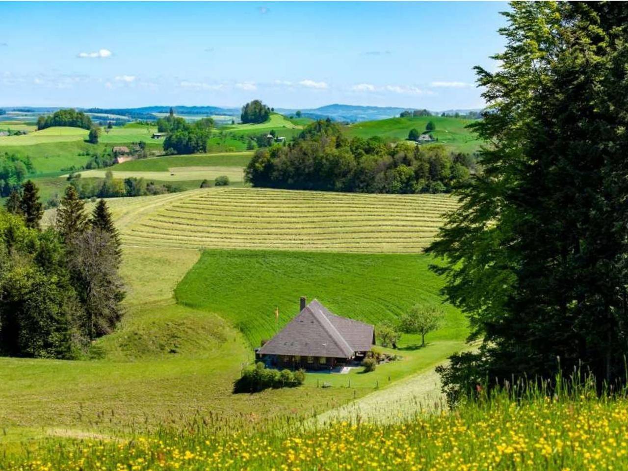 Chuderhütte - Ihr Gütli im Emmental in Wyssachen, Kanton Bern